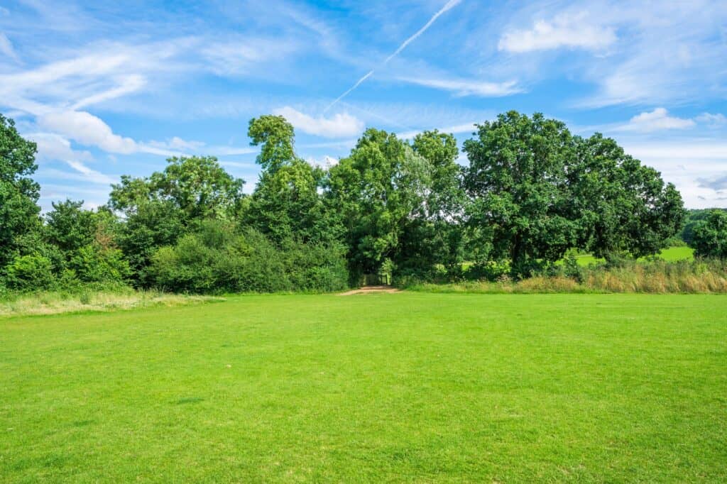 A vast green space